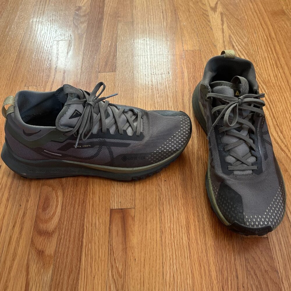 Nike Pegasus Trail 4 GORE-TEX Size 11